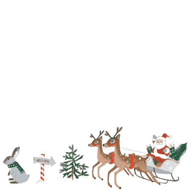 HG Sparkling Santa Christmas Beverage Napkins (40pcs) - Josi James - 