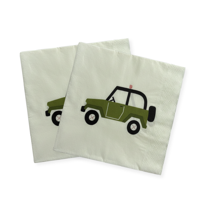 Safari Large Disposable Paper Napkins